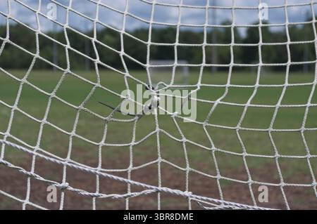 Nahaufnahme eines Knotens in einem Fußballnetz Stockfoto