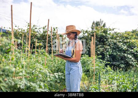 Junge lateinamerikanische Farmerin mit Denim-Overall und Strohhut mit digitaler Tablette und Eingabestift, die Notizen von Tomatenpflanzen machen, die in h wachsen Stockfoto