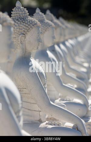 24. Juli 2020, Arlee, Montana, USA: Reihen von Buddha-Statuen im Garten der tausend Buddhas in Arlee, Montana am 24. Juli 2020. Das buddhistische Zentrum und die heilige Wallfahrtsstätte wurden 2000 von Gochen Tulku Sang-ngag Rinpoche gegründet und sind noch immer in Arbeit. Es beherbergt tausend Bilder des Buddha, die in Form eines achtspeichigen Dharma-Rades angeordnet sind, das eine 24 Fuß hohe Figur von Yum Chenmo umgibt. (Foto: © Paul Christian Gordon/ZUMA Wire) Stockfoto