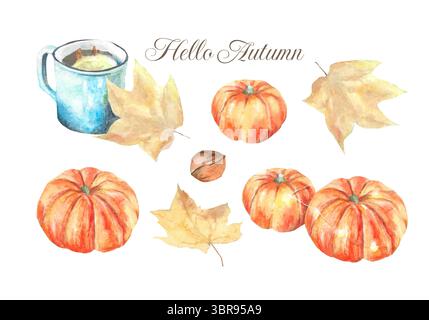 Set von Herbst Aquarellskizzen Kürbisse Stockfoto