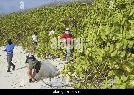 21. August 2020 – Diego Garcia, British Indian Ocean Territory – Seemänner klettern in eine dicke Hecke am Meer an einem abgelegenen Strandabschnitt am Diego Garcia August. 21, 2020, um Müll während einer Strandreinigung aufzuholen, die von der Diego Garcia Chapel der U.S. Navy Support Facility veranstaltet wird. Müll wird regelmäßig aus dem Indischen Ozean an Land gespült, sodass Seeleute und Zivilisten auf der Insel häufig Strandreinigungen durchführen, um Diego Garcias Pflanzen- und Tierleben zu schützen. NSF Diego Garcia bietet Logistik-, Service-, Freizeit- und Verwaltungsunterstützung für US-amerikanische und alliierte Streitkräfte, die bei der indischen OCE eingesetzt werden Stockfoto