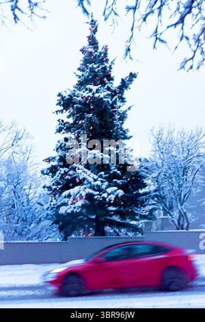 Der Blick auf einen schneebedeckten Weihnachtsbaum mit Lichtern steht hoch, während ein rotes Auto in einer Winterszene vorbeifährt: Reykjavík, Reykjavíkurborg, Island. Stockfoto