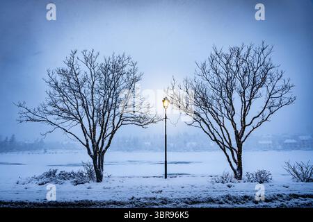 Der Blick auf eine sanft leuchtende Straßenlaterne wirft einen warmen Halo zwischen schneebedeckten Bäumen im isländischen Winter, Reykjavíkurborg, Reykjavík, Island. Stockfoto