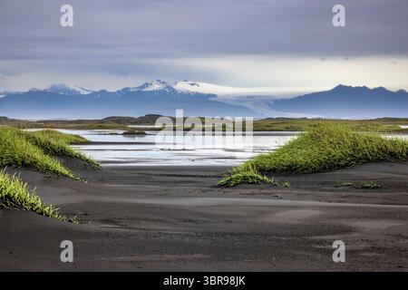 Schwarze Sanddünen und Roggengras bei Stokksnes mit Vatnajökull-Gletscher im Hintergrund, Island Stockfoto