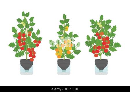 Set selbstbewässernder Plastikflaschengefäße mit Tomaten zu Hause. Vertikaler Garten, städtisches Landwirtschaftskonzept. Handgezeichnete Vektorillustration. Stock Vektor