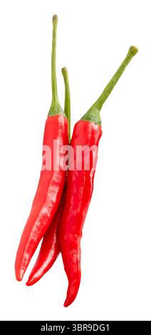 Die Draufsicht der frischen roten Chilischoten oder Cayennepfeffer im Stapel ist auf weißem Hintergrund mit Schnittpfad isoliert. Stockfoto