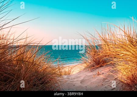 Dieses Bild bietet einen ruhigen Blick auf das Meer und den Himmel, eingerahmt von hohem, goldenem Gras auf einer Sanddüne. Die Szene zeigt eine friedliche Naturlandschaft Stockfoto