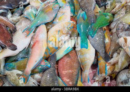 Frisch gefangener Meeresfisch auf einem Markt in Borneo, Malaysia. Stockfoto