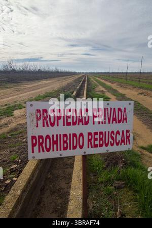 GLean Banned Schild Post. Der Grundbesitzer erlaubte den Dorfbewohnern nicht, in seinen Feldern zu essen, sobald die Ernte beendet war Stockfoto