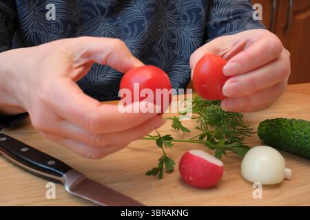 Hände halten reife Tomaten vorsichtig, während frische Kräuter und Gemüse umgeben sind. Stockfoto