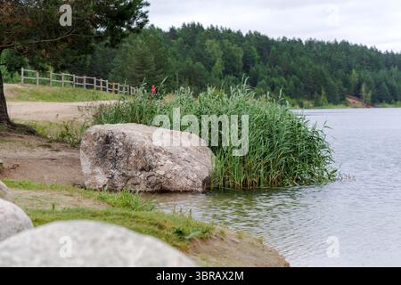 Eine ruhige Seeszene mit hohem grünen Schilf, großen natürlichen Felsbrocken und einem fernen Wald unter bewölktem Himmel. Stockfoto