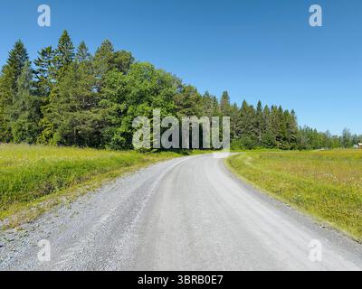 Eine Schotterstraße führt durch eine lebhafte grüne Landschaft, die zu einem dichten, sonnendurchfluteten Wald unter einem klaren blauen Himmel führt. Stockfoto