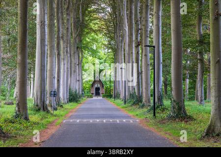 Wunderschönes Parkschloss Tillegem mit einem kleinen Gebetshaus am Ende der von Bäumen gesäumten Allee in der Nähe von Brügge in Flandern Belgien Stockfoto