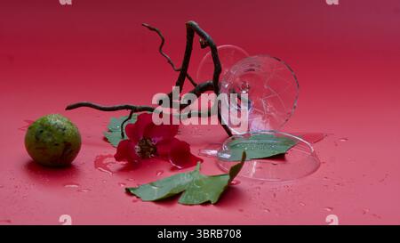 Ein zerbrochenes Glas, Gingko Blätter, eine Rosenblüte, ein Zweig. Konzept des Endes von etwas - Beziehung, Jahreszeit, Freundschaft. Stockfoto