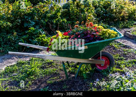 Die Kleingartensiedlung Rothoffska Koloni in der ehemaligen Zidadelle von Landskrona. Citadellvägen, Landskrona, Skåne län, Schweden Stockfoto