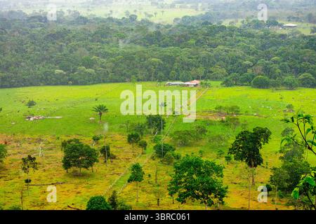 Ein Panoramablick auf üppige grüne Felder und verstreute Farmen in Guaviare, Kolumbien, zeigt die natürliche Schönheit der Region. Stockfoto