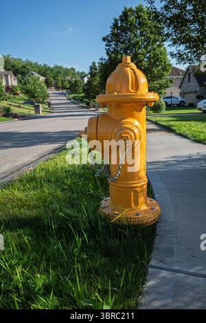 Ein leuchtender gelber Hydrant steht gut sichtbar auf einer Wohnstraße mit grünem Gras und Häusern im Hintergrund. Stockfoto
