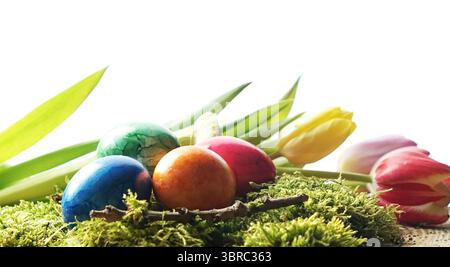 ostereier mit Tulpen auf moosbewachsener Oberfläche in der Frühjahrsszene Stockfoto