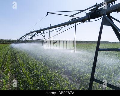 Landwirtschaftliche Drehbewässerung auf einem Maisfeld Stockfoto