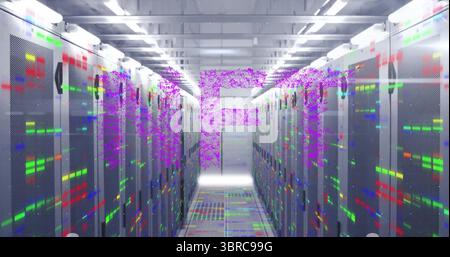 Zeigt Serverschränke mit LED-Leuchten, Glasfaserkabeln und Schwachstellen im Korridor des Rechenzentrums Stockfoto