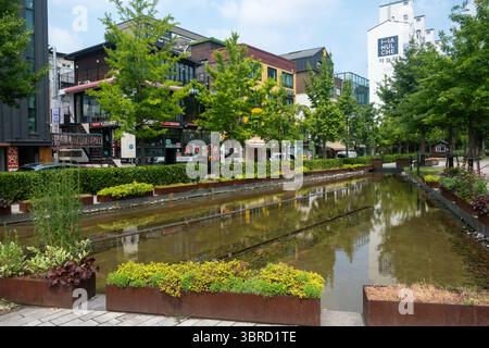 Seoul, Südkorea - 17. Juni 2025: Baum und Bach im öffentlichen Park im Sommer in der Nähe der Hongik University Station, Seoul, Südkorea. Stockfoto