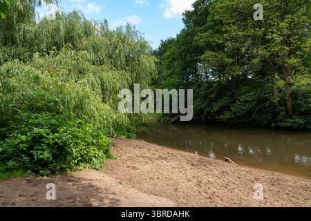 Der Fluss Goyt im Woodbank Park in Stockport, Greater Manchester, England. Stockfoto