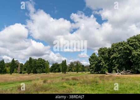 Ein wunderschöner Sommertag im Woodbank Park in Stockport, Greater Manchester, England. Stockfoto
