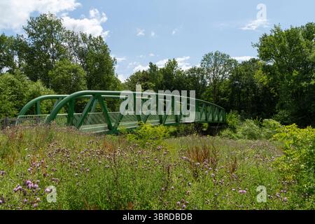Fußgängerbrücke über den Fluss Goyt bei Pear Mill in Stockport, Greater Manchester, England. Stockfoto