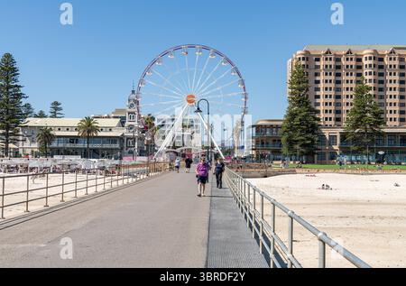 Riesenrad und Palmen am Moseley Square ab Glenelg Jetty, Adelaide, South Australia, Australien Stockfoto