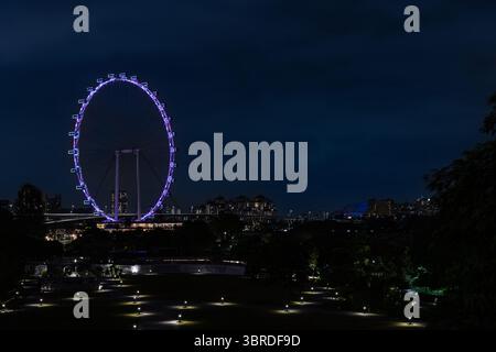Singapore Flyer Big Wheel in der Nacht, Singapur Stockfoto