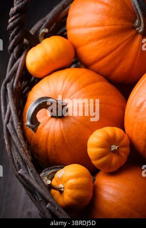 Kürbisse verschiedener Größen füllen einen Webkorb aus der Nähe des Herbstes. Herbstszene perfekt für Feiertage, Außendekor und Thanksgiving-Charme Stockfoto