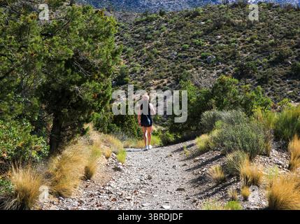 Der Rückblick Einer Person ist eine Wanderung auf einem felsigen Pfad, umgeben von üppigem Grün und Hügeln. Stockfoto