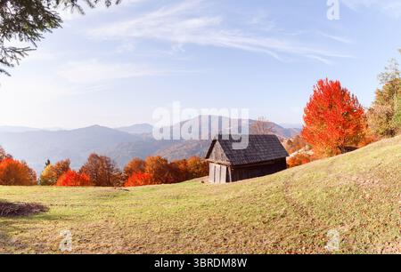 Herbsttal mit grasbewachsenem Feld, rustikaler Hütte und purpurroten Buchen in Bergkulisse. Gemütliche Landschaft in lebendigen, saisonalen Tönen und natürlichem Licht Stockfoto