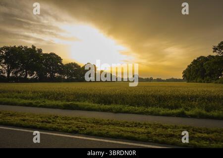 Eine Landstraße führt an einem Feld vorbei, während die Sonne hinter Bäumen aufgeht, Eine asphaltierte Landstraße mit Radweg bei Sonnenaufgang, 27798 Hude, Niedersachsen, Deutschland Stockfoto
