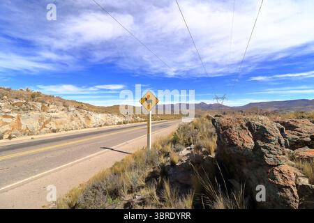 Ein Schild zum Überqueren des Lama lama lama auf der Straße in Bolivien Stockfoto