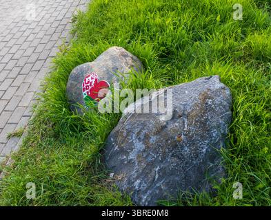Stein mit gemalter belarussischer Flagge in Herzform Stockfoto