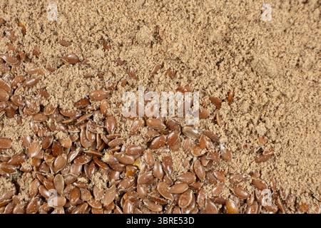 Flachssamen und gemahlenes Leinsamenmehl Makroansicht. Stockfoto