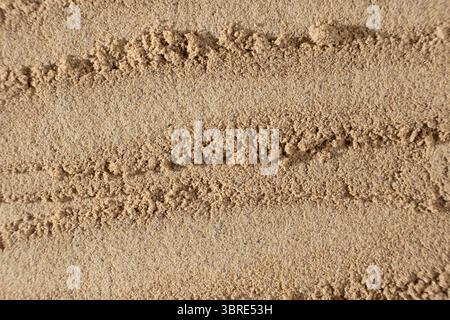 Natürliche Leinsamenmehl-Textur. Gesunder Hintergrund mit Textbereich. Stockfoto