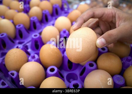 Nahaufnahme eines Kindes, das Eier im Supermarkt abholt. Stockfoto