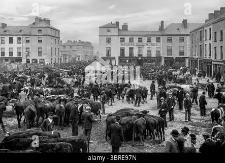 Ein Foto aus dem späten 19. Jahrhundert von einem traditionellen Viehmarkt auf dem Grattan Square, dem Hauptplatz von Dungarvan, einer Küstenstadt und einem Hafen im County Waterford an der Südostküste Irlands. Stockfoto