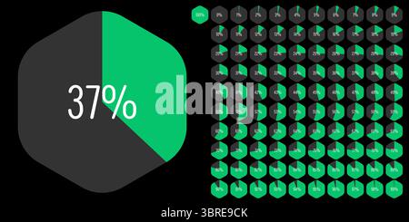 Satz sechseckiger Prozentdiagramme von 0 bis 100, gebrauchsfertig für Webdesign, Benutzeroberfläche oder Infografik – Anzeige mit grüner Anzeige Stock Vektor