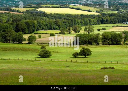 Ruhige ländliche Landschaft mit lebhaften grünen Feldern, verstreuten Bäumen und sanften Hügeln unter hellem Himmel, die auf eine friedliche Landschaft hinweisen Stockfoto