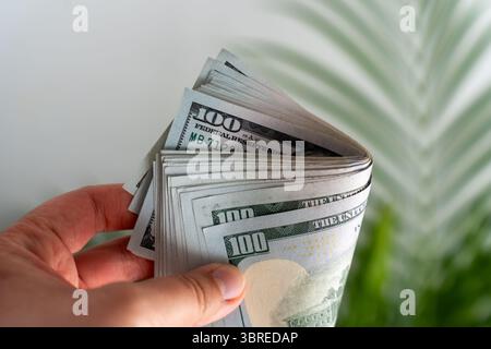 Person, die einen dicken, gekrümmten Stapel von US-Dollar-Scheinen mit tropischem Palmblatt in unscharfem Hintergrund hält. Stockfoto