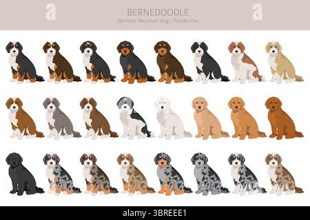Bernedoodle Dog Mix Clipart. Alle Lackfarben festgelegt. Berner Mountain Dog Pudel Mix. Vektorillustration Stock Vektor