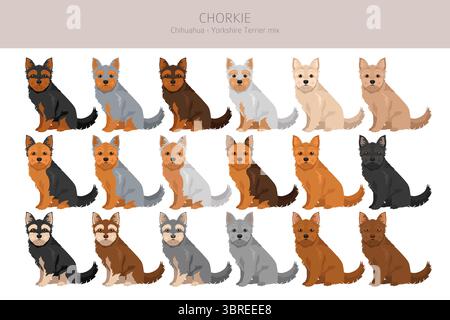 Chorkie Clipart. Chihuahua Yorkshire Terrier Mix. Verschiedene Lackfarben. Vektorillustration Stock Vektor
