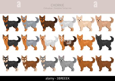 Chorkie Clipart. Chihuahua Yorkshire Terrier Mix. Verschiedene Lackfarben. Vektorillustration Stock Vektor