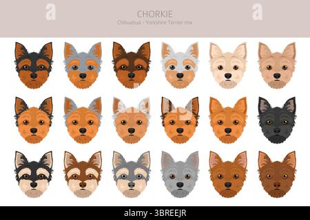 Chorkie Clipart. Chihuahua Yorkshire Terrier Mix. Verschiedene Lackfarben. Vektorillustration Stock Vektor