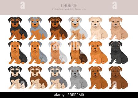 Chorkie Clipart. Chihuahua Yorkshire Terrier Mix. Verschiedene Lackfarben. Vektorillustration Stock Vektor
