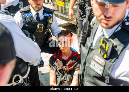 London, Großbritannien. Juli 2025. Eine verhaftete Demonstrantin fühlt sich ohnmächtig und die Polizei hört vorübergehend auf, sie zu tragen - die kleine Gruppe mit den Plakaten "Ich unterstütze die Palästinensische Aktion" wird schnell von der Polizei verhaftet und wird nach ihrer Ausbildung "schlampig", was bedeutet, dass sie durchgeführt werden müssen. Ein hochrangiger Polizist wird gefragt, wie man gegen Gesetze protestieren soll, die sie nicht befürworten, und sagt, es sei ein Problem, auf das er keine Antwort habe - Ein Protest zur Unterstützung der Palästinensischen Aktion an der Ghandi-Statue auf dem Parlamentsplatz. Guy Bell/Alamy Live News Stockfoto