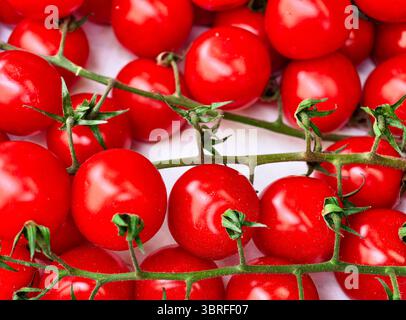 Frische Kirschtomaten auf der Rebe – abstrakter Hintergrund. Hintergrundbild für Telefone, Tablets und Laptops lebendige High-Resolution. Ideal für Marketing, soziale Medien, Werbung, Webdesign und digitale Werbeaktionen Stockfoto